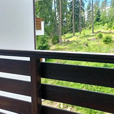 公寓 B35, Complex Sokolitsite